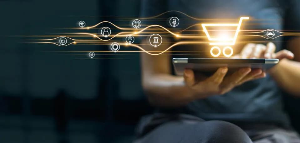 e-Commerce Platforms